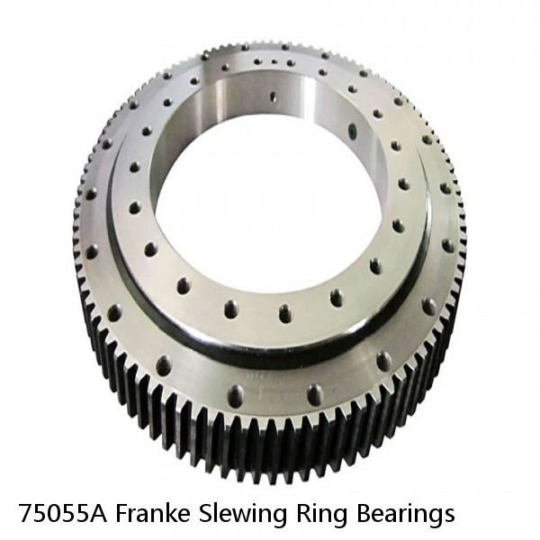 75055A Franke Slewing Ring Bearings