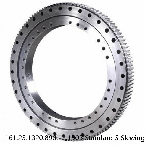 161.25.1320.890.11.1503 Standard 5 Slewing Ring Bearings