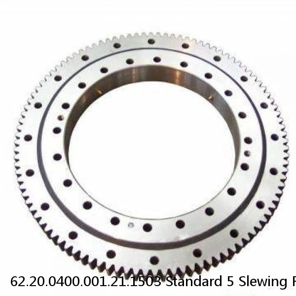 62.20.0400.001.21.1503 Standard 5 Slewing Ring Bearings