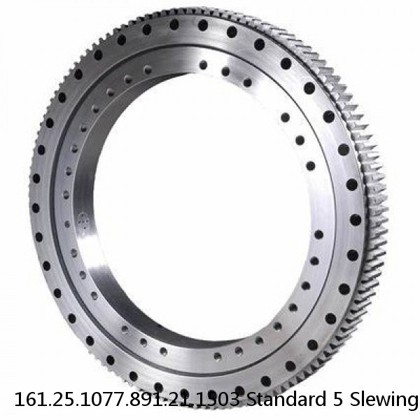 161.25.1077.891.21.1503 Standard 5 Slewing Ring Bearings