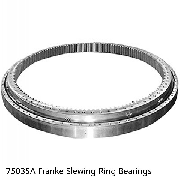 75035A Franke Slewing Ring Bearings