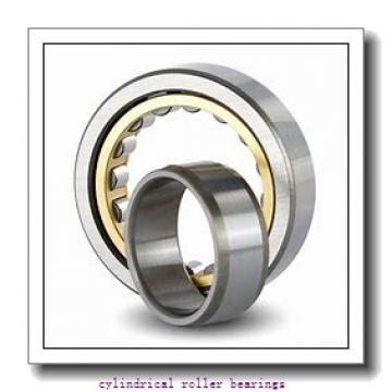 1.969 Inch | 50 Millimeter x 3.15 Inch | 80 Millimeter x 0.906 Inch | 23 Millimeter  INA SL183010-C3 Cylindrical Roller Bearings