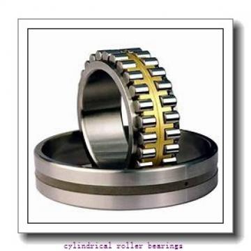 Link-Belt MU1310UM Cylindrical Roller Bearings