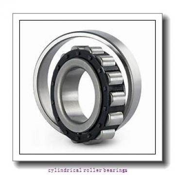 Link-Belt MU1211UM Cylindrical Roller Bearings