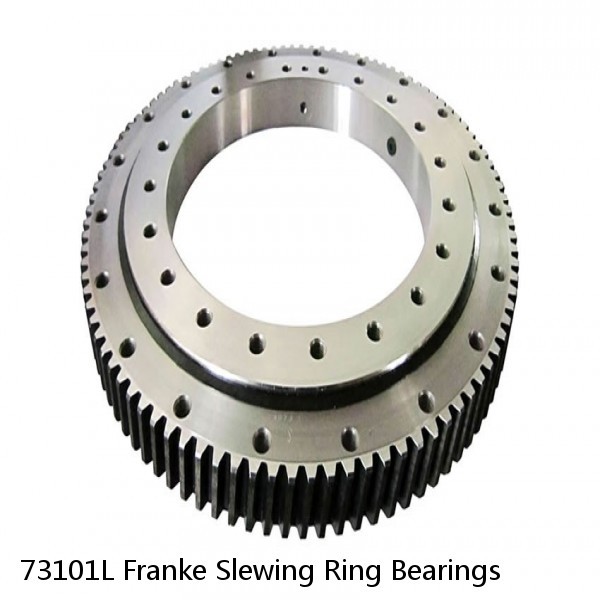 73101L Franke Slewing Ring Bearings