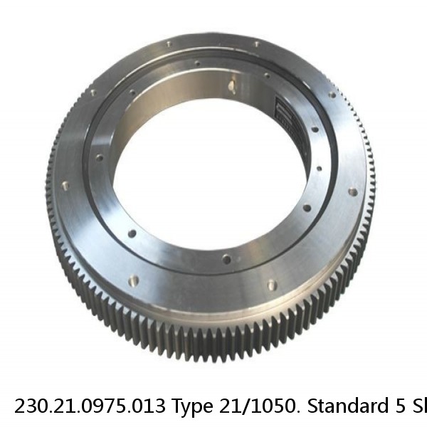 230.21.0975.013 Type 21/1050. Standard 5 Slewing Ring Bearings