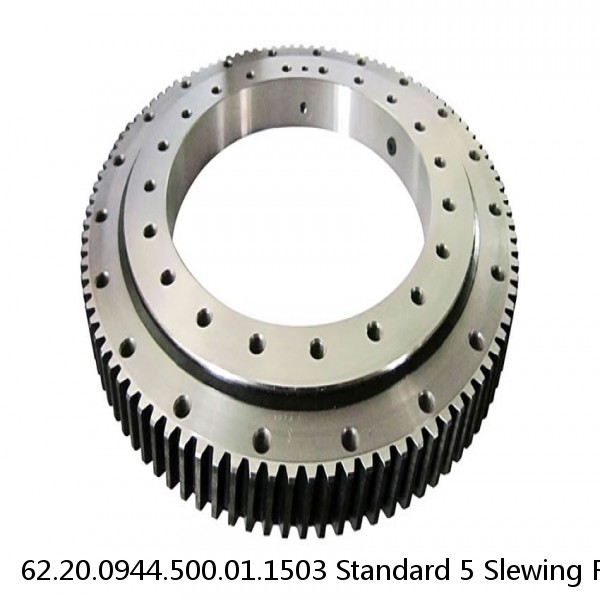 62.20.0944.500.01.1503 Standard 5 Slewing Ring Bearings