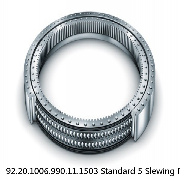 92.20.1006.990.11.1503 Standard 5 Slewing Ring Bearings