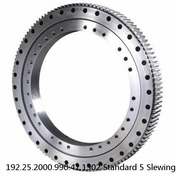 192.25.2000.990.41.1502 Standard 5 Slewing Ring Bearings