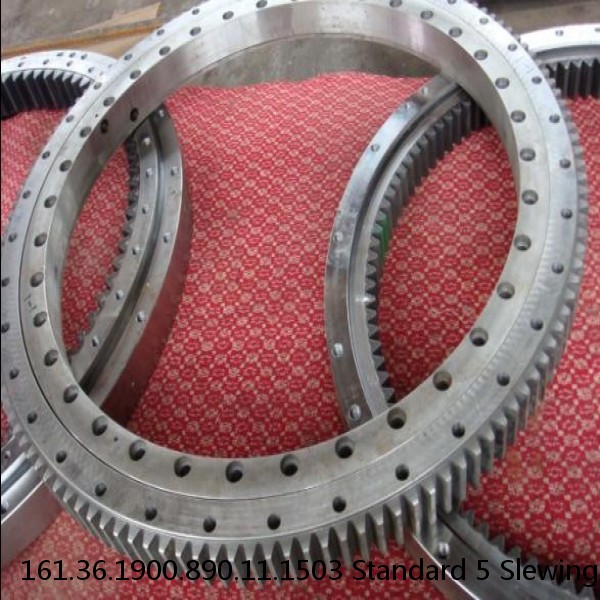 161.36.1900.890.11.1503 Standard 5 Slewing Ring Bearings