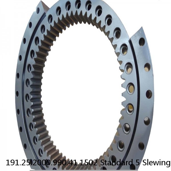 191.25.2000.990.41.1502 Standard 5 Slewing Ring Bearings