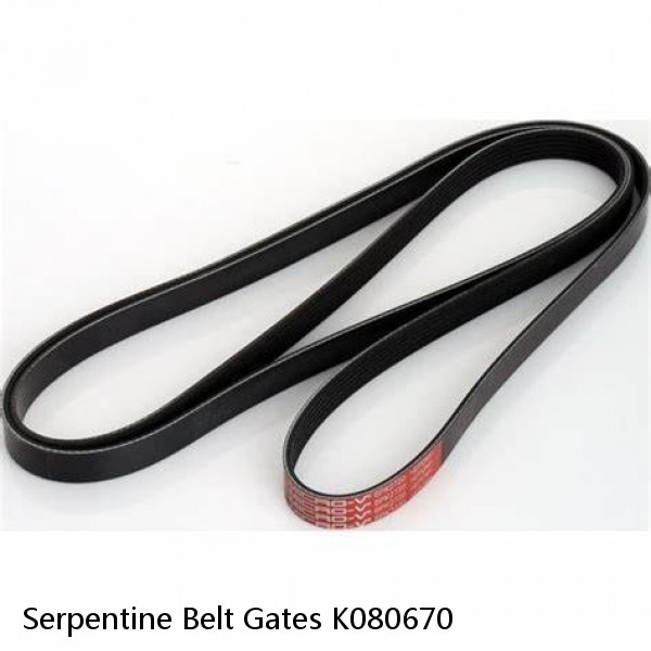 Serpentine Belt Gates K080670
