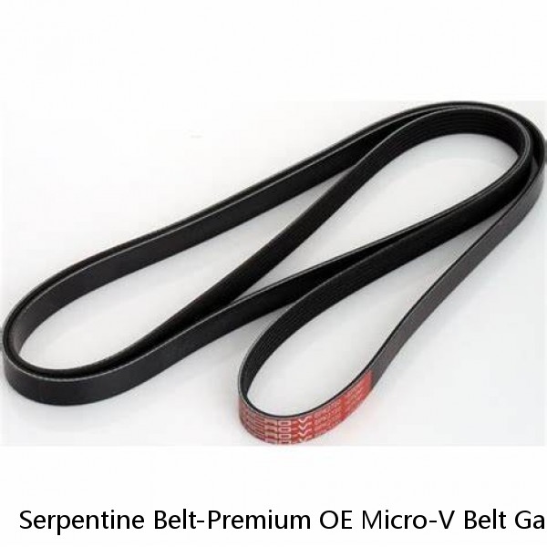 Serpentine Belt-Premium OE Micro-V Belt Gates K080670