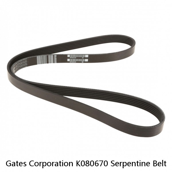 Gates Corporation K080670 Serpentine Belt   Micro V Serpentine Drive Belt